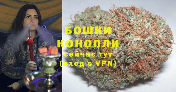 молекула духа Зеленодольск