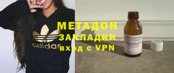 прущие грибы Инта