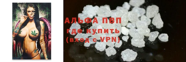прущие грибы Инта