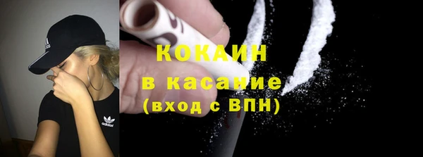 ALPHA PVP Инсар