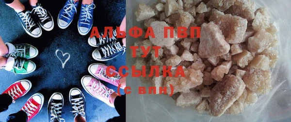 СК Зеленокумск