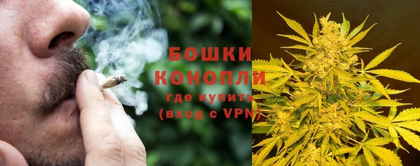 молекула духа Зеленодольск