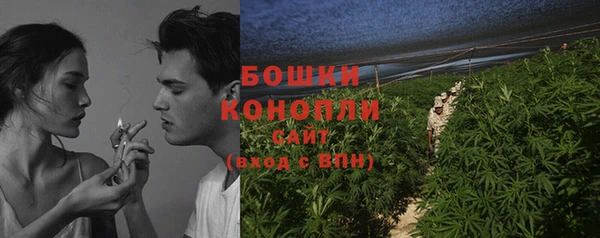 прущие грибы Инта