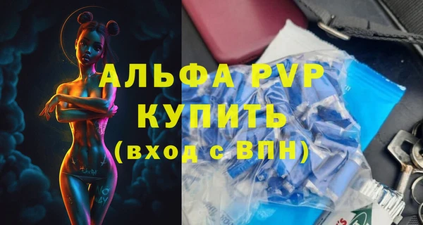 прущие грибы Инта