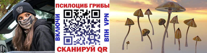 Купить закладки  Берёзовский  Псилоцибиновые грибы ЛСД 